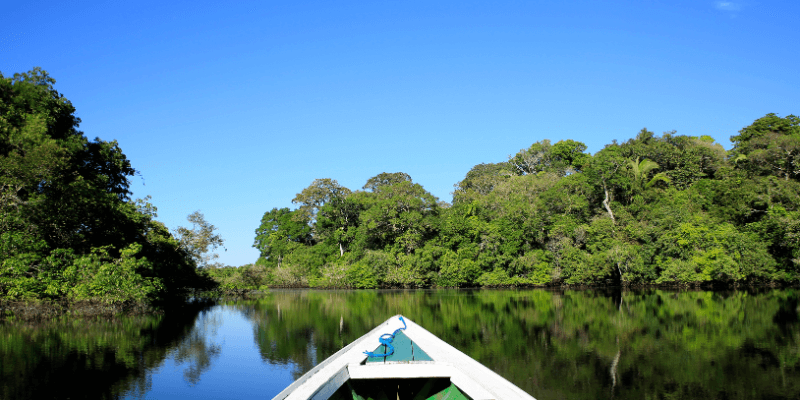 A serene view from the bow of a boat gliding through a calm Amazonian tributary, flanked by dense green rainforest reflecting perfectly in the water under a clear blue sky.