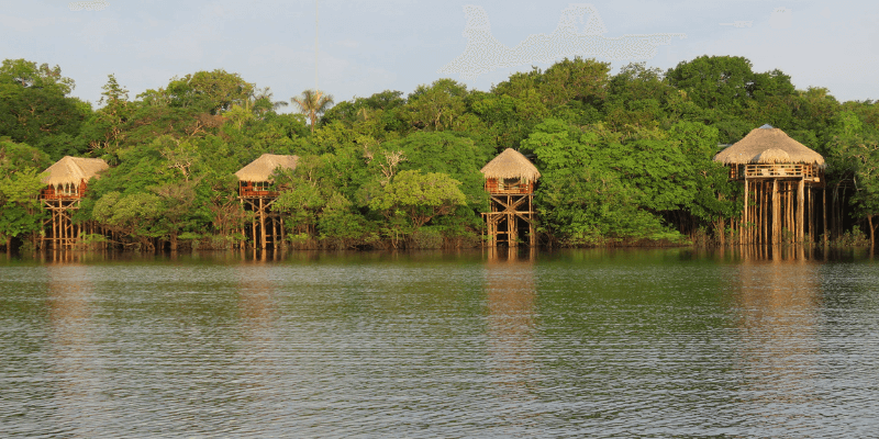 Elevated wooden lodges nestled in the lush canopy of the Amazon Rainforest, reflecting in the tranquil waters of the river, offering a serene eco-friendly accommodation option.